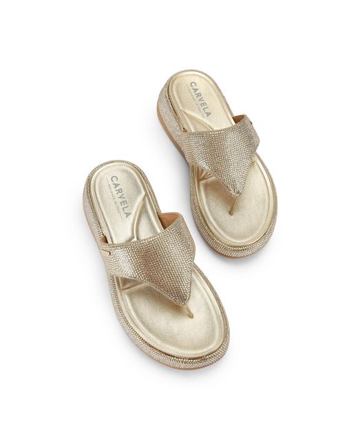 Carvela Kurt Geiger Metallic Dorata Sandal Sandals