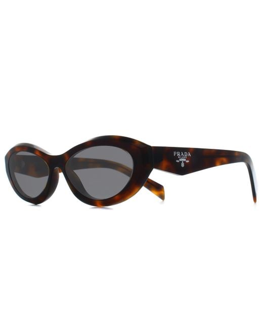 Prada Brown Oval Juniper Tortoise Pr26Zs
