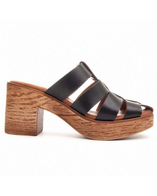 Wikers Brown Heel Sandal Penguin