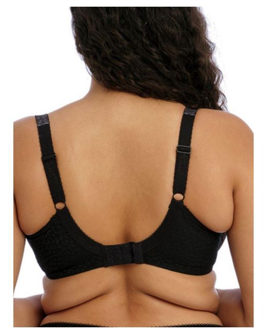 Elomi Black Lucie Plunge Bra