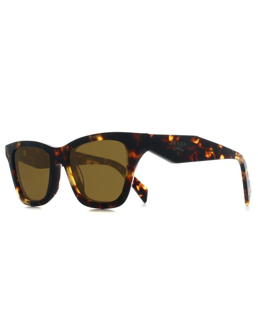 Prada Brown Butterfly Honey Tortoise Dark Prc07S