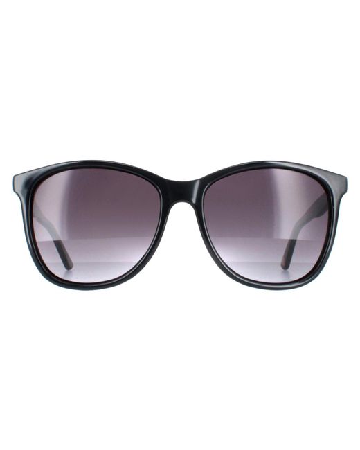 Ted Baker Brown Oval Gradient Tb1496 Alva