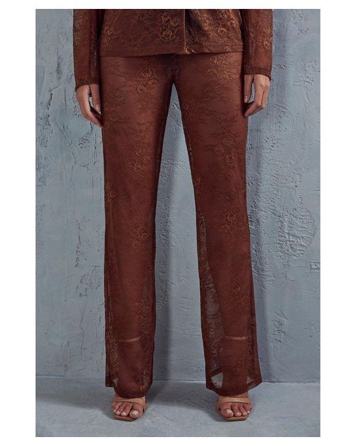 MissPap Brown Lace Tailored Flared Trousers