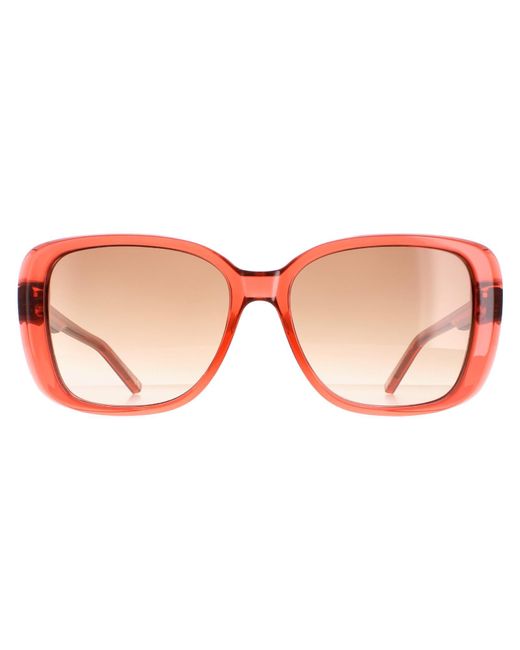Ted Baker Brown Sunglasses Tb1640 Margo 220 Rose Gradient