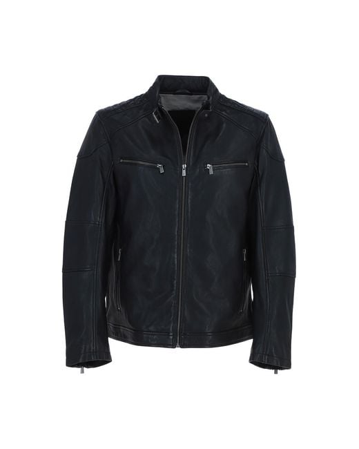 Ashwood Leather Blue 'Lent' Classic Biker Jacket With Buckled Collar for men