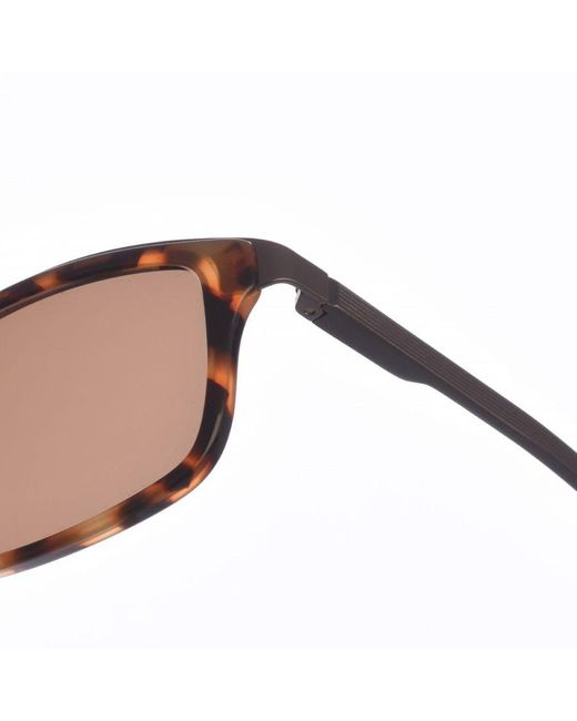 Zen Brown Rectangular Acetate And Metal Sunglasses Z430 for men