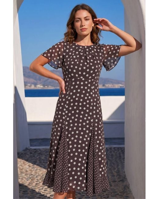 Roman Brown Petite Spot Print Godet Hem Midi Dress