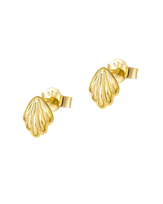 The Jewellery Stockroom Metallic Plated Shell Stud Earring