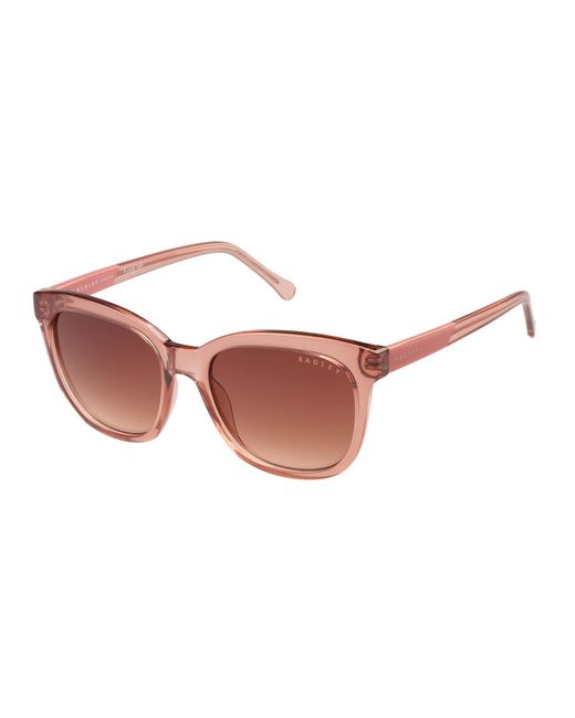 Radley Brown Round Transparent Gradient Rds-6533