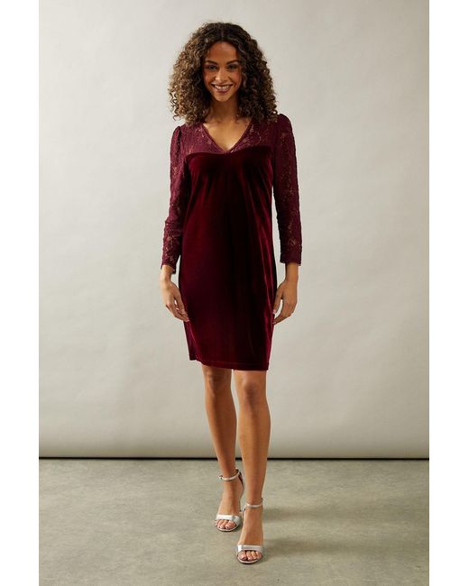 Wallis Purple Occasion Lace Sleeve Velvet Shift Dress