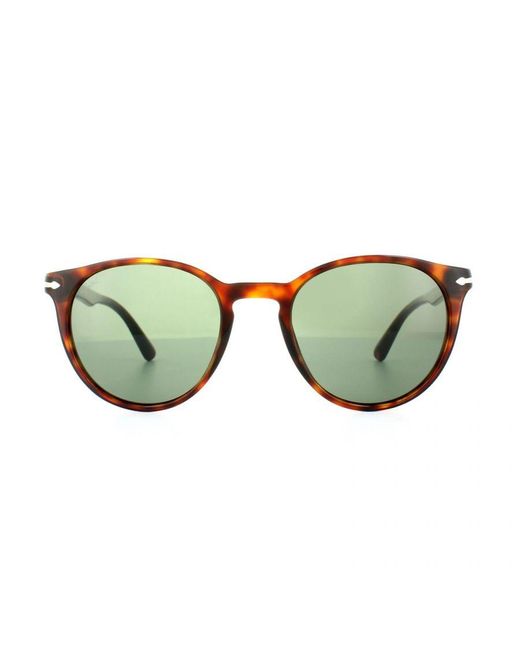 Persol Green Sunglasses 3152 9015/31 Havana for men