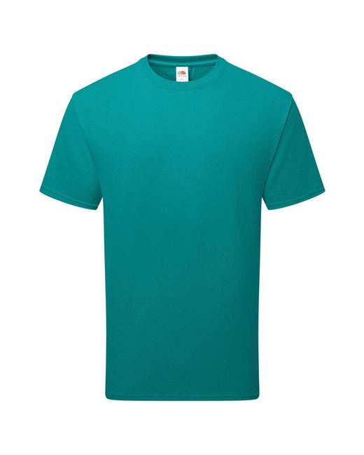 Fruit Of The Loom Green Adult Pure Cotton T-Shirt (Ocean)