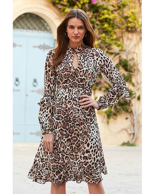 Sosandar Multicolor Tan Leopard Print Fit & Flare Ruffle Dress