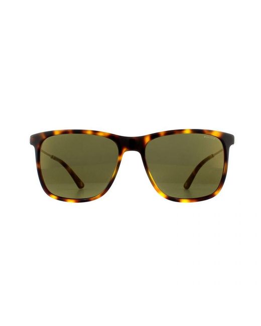 Police Green Rectangle Shiny Light Havana Sunglasses for men