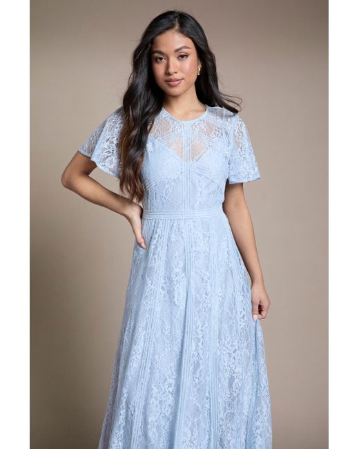 Oasis Blue Petite Angel Sleeve Lace Bridesmaid Dress