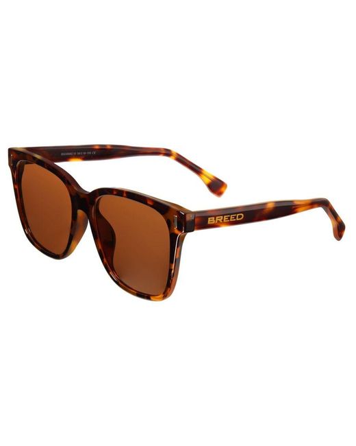 Breed Brown Linux Polarized Sunglasses for men