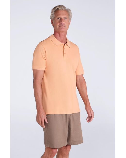 Mountain Warehouse Multicolor 'Lakeside Ii' Polo Shirt With Button Neck Breathable Summer Tee Cotton for men