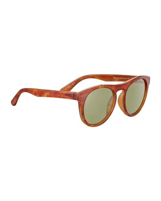 Serengeti Brown Ss572002-S 53 Kingman Sunglasses