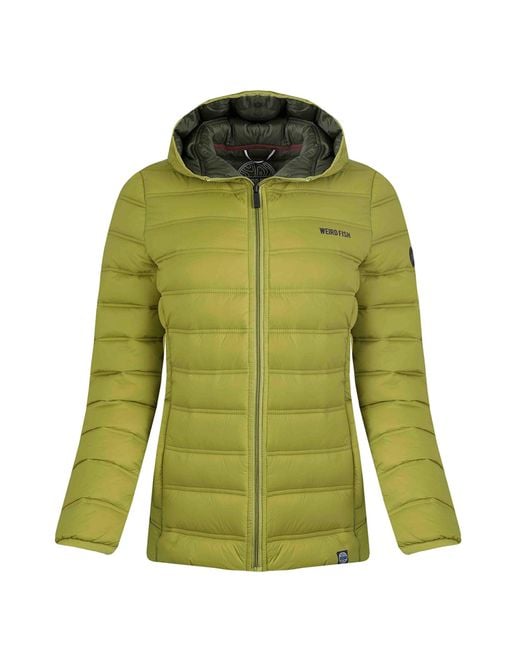 Weird Fish Green Ladies Eshka Lightweight Padded Jacket (Tarragon)