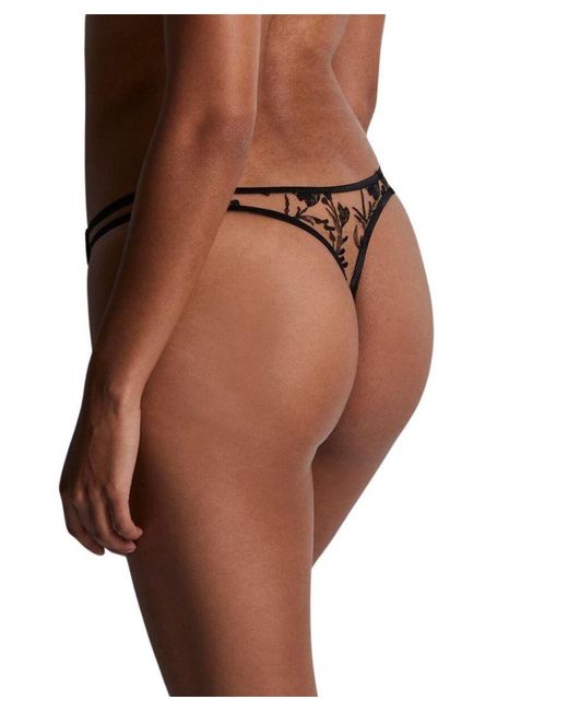 Aubade Brown Magnetic Spell Tanga