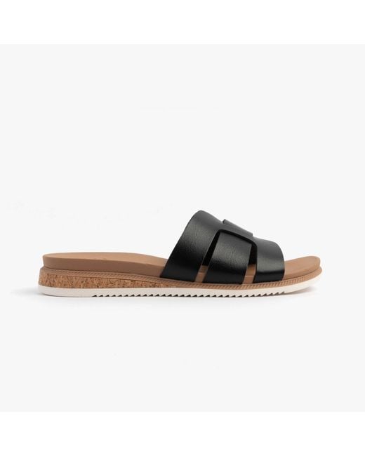Skechers Brown 114707/Blk Bobs Desert Kiss Low