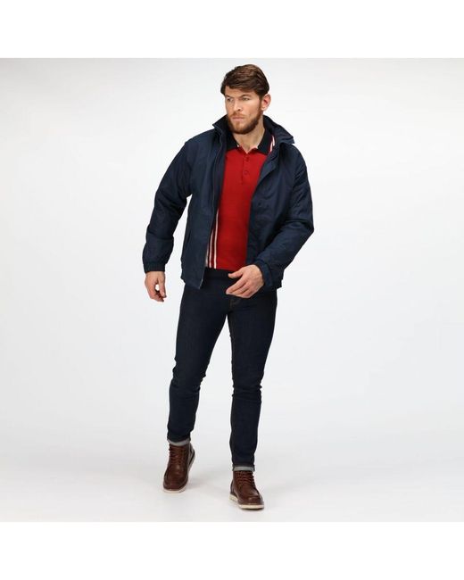 Regatta Blue Dover Waterproof Windproof Jacket (Thermo-Guard Insulation) for men