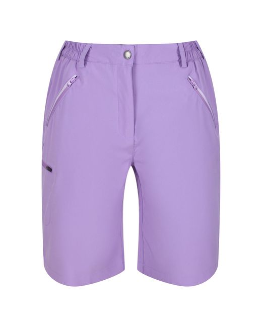 Regatta Ladies Xert Stretch Shorts Light Amethyst in Purple Lyst UK