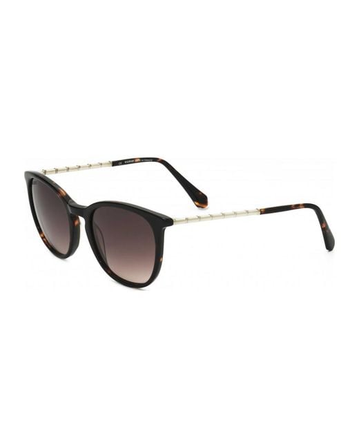 Balmain Brown Bl2084B 51 01 Sunglasses