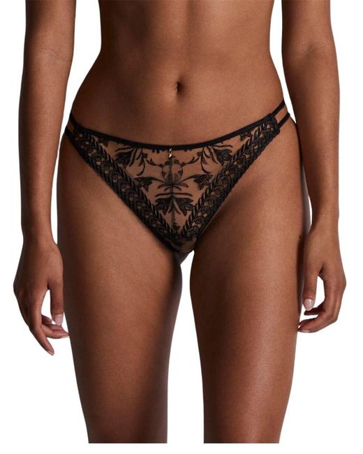 Aubade Brown Magnetic Spell Tanga