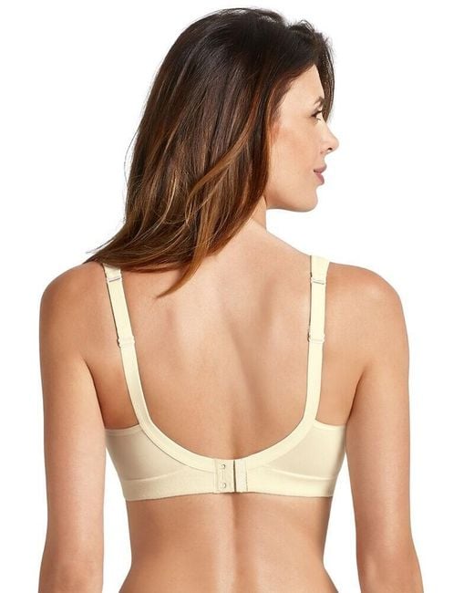 Anita Brown Care Salvia Post Mastectomy Bra With Back Closure