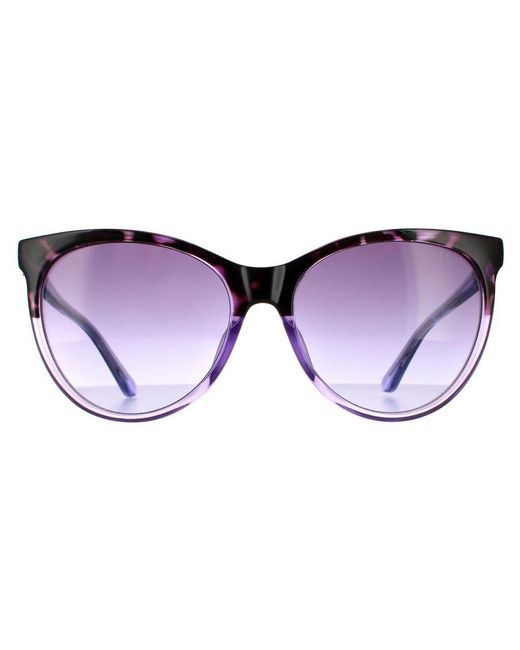 Guess Purple Cat Eye Havana Gradient Sunglasses