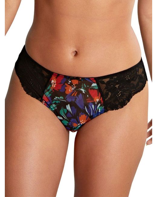 Panache Black Nina Brazilian