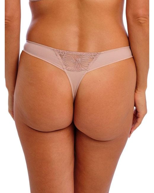 Wacoal Brown Cateline Tanga