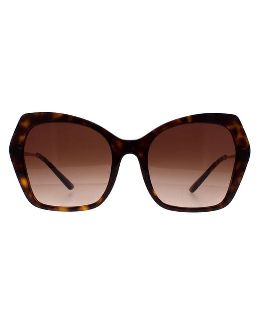Dolce & Gabbana Brown Butterfly Havana Gradient Dg4399