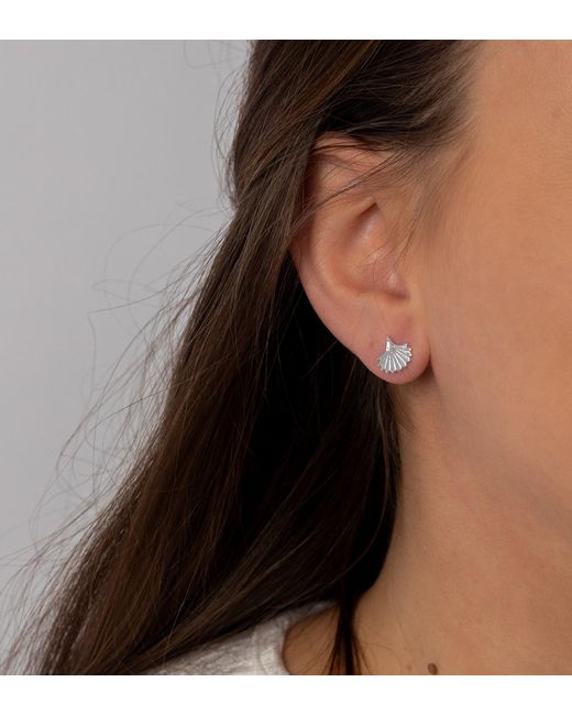 The Jewellery Stockroom White Sterling Fan Shaped Stud
