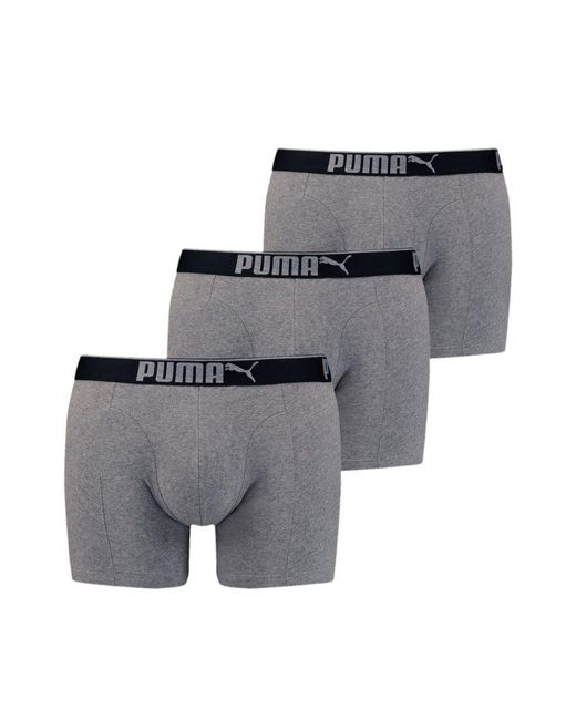 PUMA Gray Licence Premium Sueded Cotton Boxers 3 Pack for men