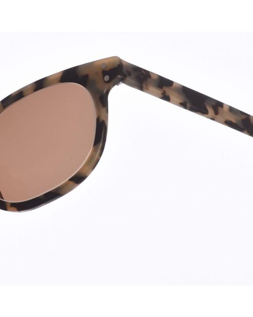 Zen Brown Z428 Square Shape Acetate Sunglasses