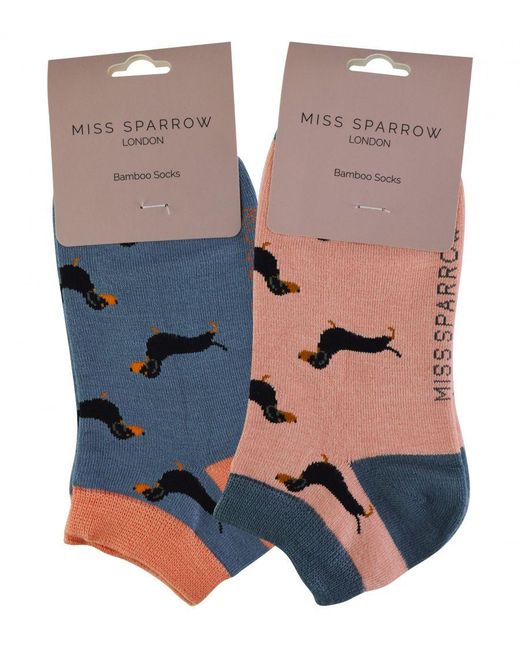 Miss Sparrow Blue 2 Pair Multipack Ladies Bamboo Trainer Socks