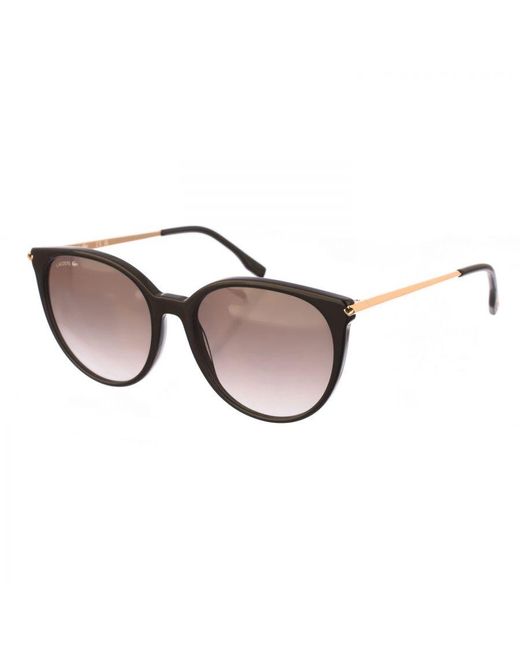 Lacoste Brown Acetate And Metal Sunglasses With Oval Shape L928S for men