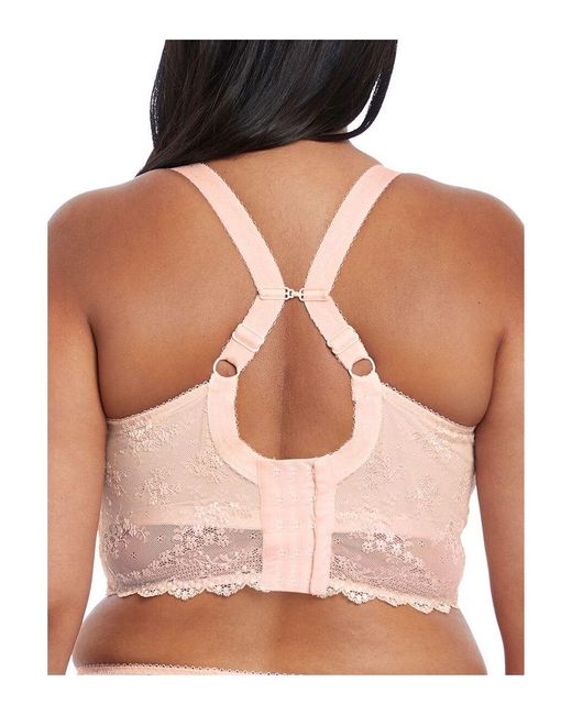 Elomi Brown Charley Bralette