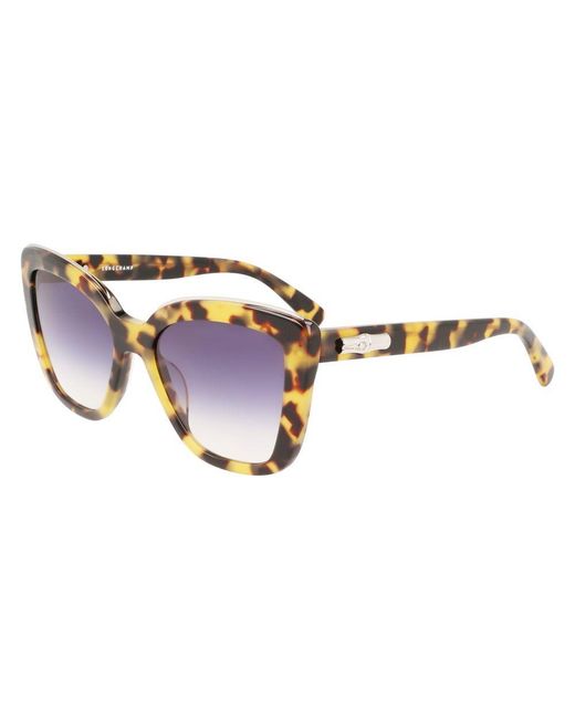 Longchamp Brown Acetate Sunglasses