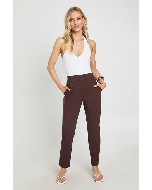 Boohoo Brown Petite Super Stretch Tapered Tailored Trouser