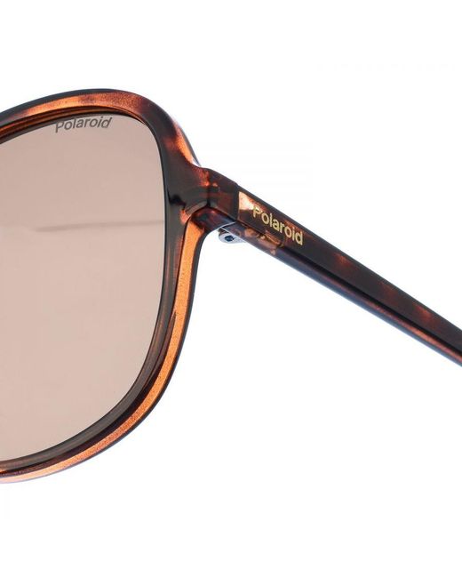 Polaroid Natural Sunglasses Pld4136S