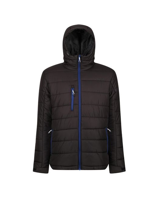 Regatta Black Navigate Thermal Padded Jacket /New Royal) for men
