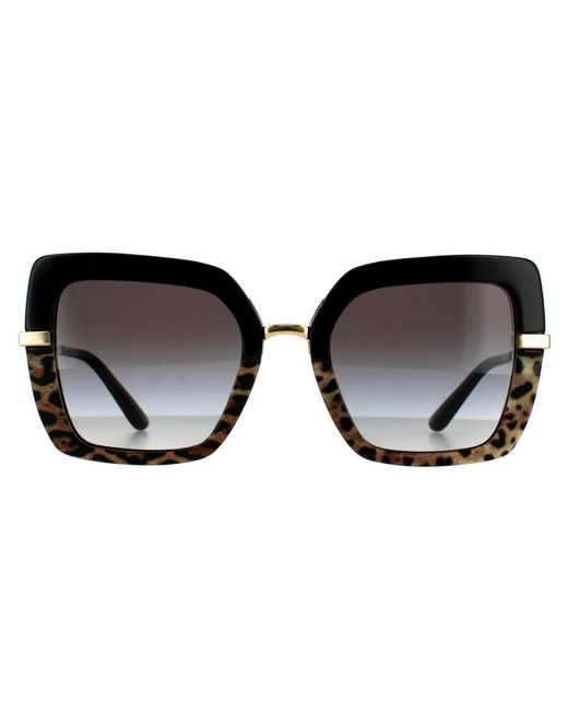 Dolce & Gabbana Black Square Top On Print Leopard Gradient Sunglasses