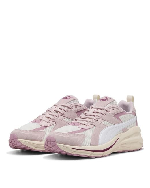 PUMA Pink Hypnotic Low Top Trainers for men