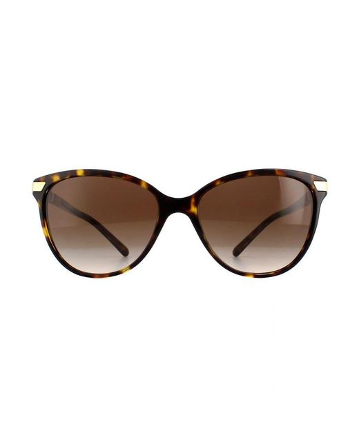 Burberry Brown Sunglasses Be4216 300213 Dark Havana With Detailing Gradient