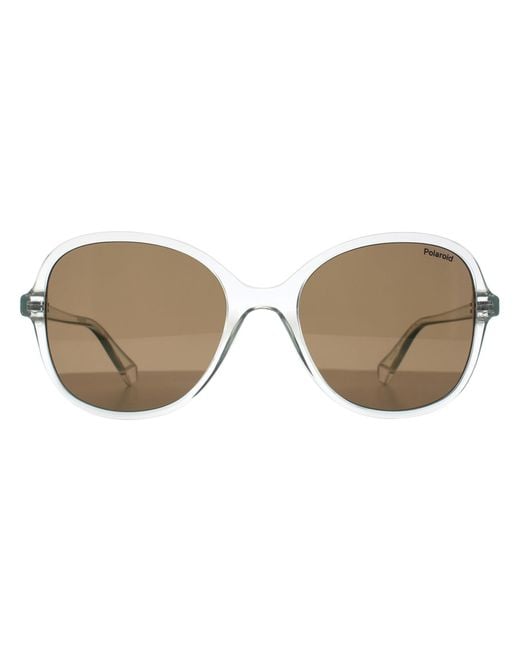 Polaroid Brown Butterfly Transparent Polarized Pld 4136/S