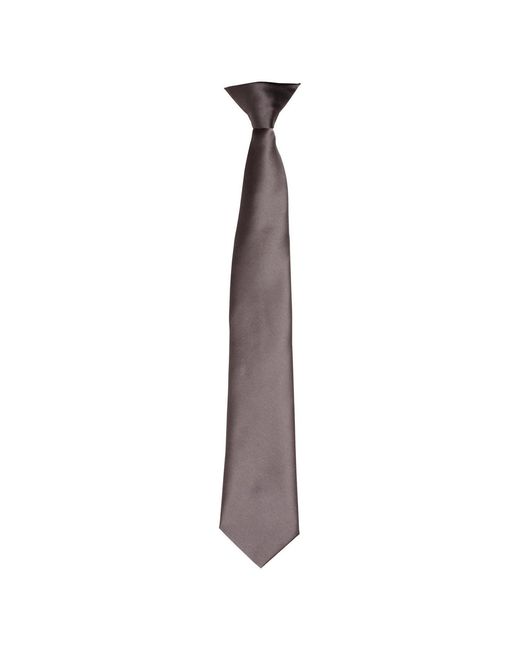 PREMIER Purple Adult Satin Tie (Dark)