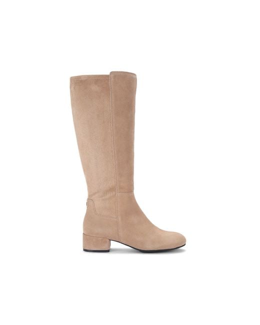 KG by Kurt Geiger Brown Suede Tabina High Leg Boots